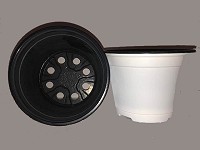 4" Round White Pot